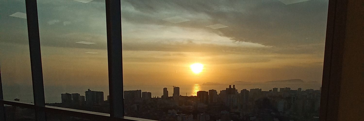 Srta. Miel 🍯 banner