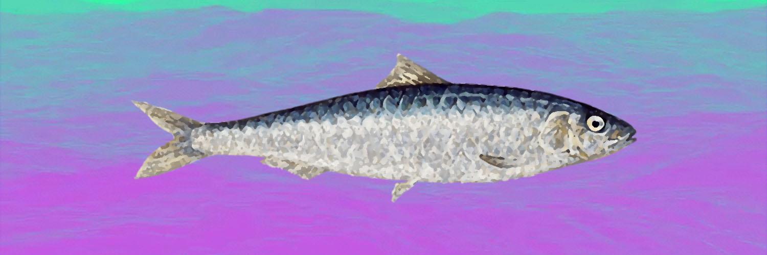 WaterCubed's profile banner image