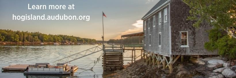 Hog Island Audubon banner