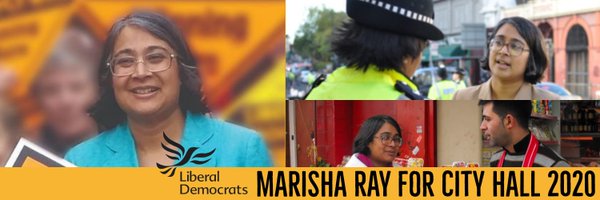 MarishaRayLD Profile Banner