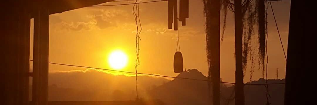 Roberto Alexander GP banner