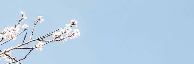 L_Harrison_'s profile banner image
