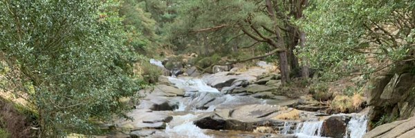 ManasiShirke2 Profile Banner