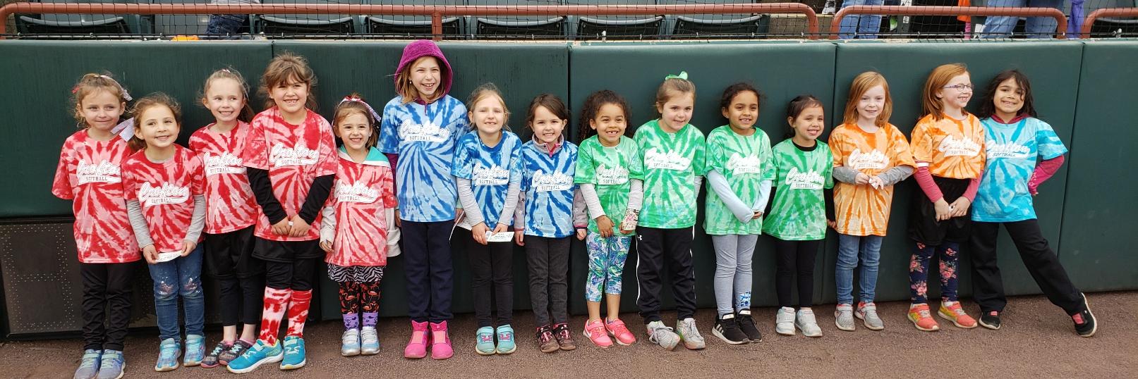 CroftonSoftball banner