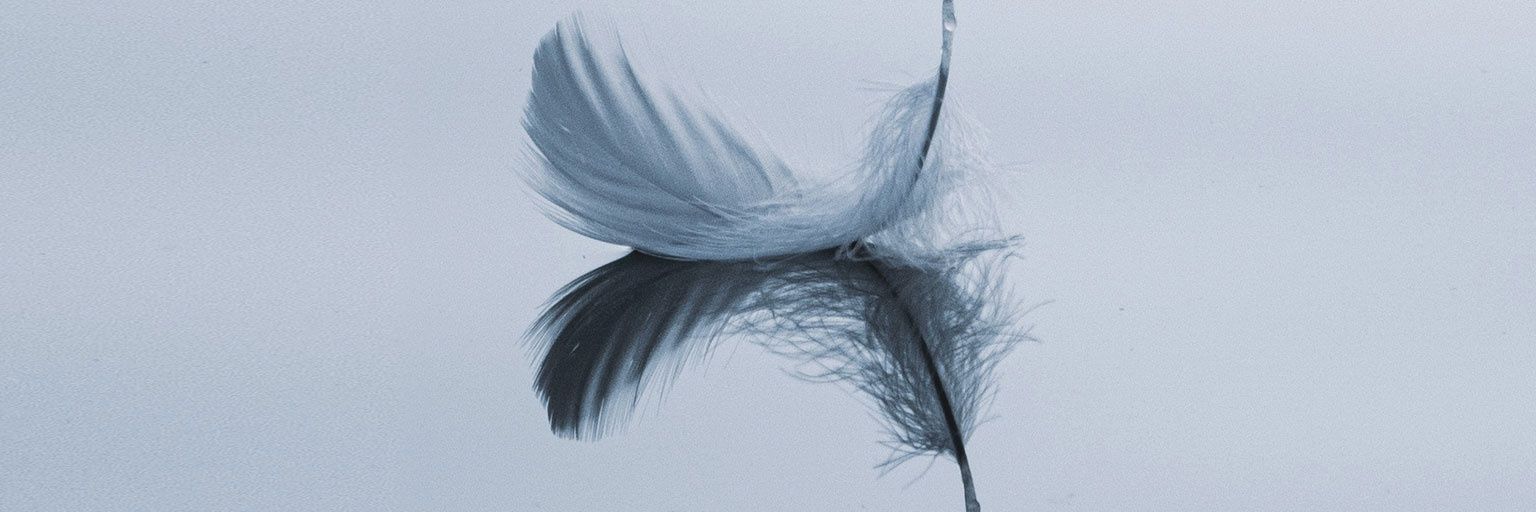AmableJen's profile banner image