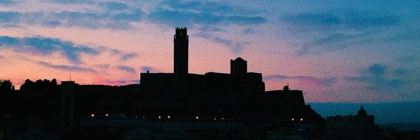 Llibert Rexach Roure banner