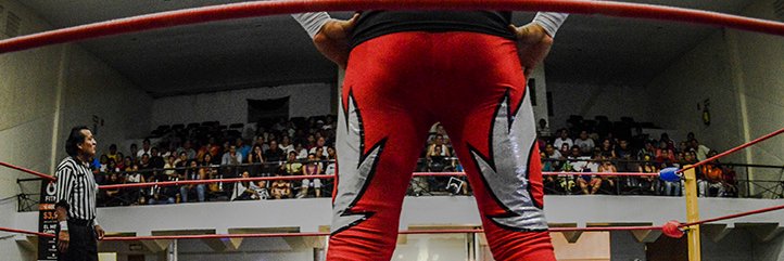 MaximoPerro's profile banner image