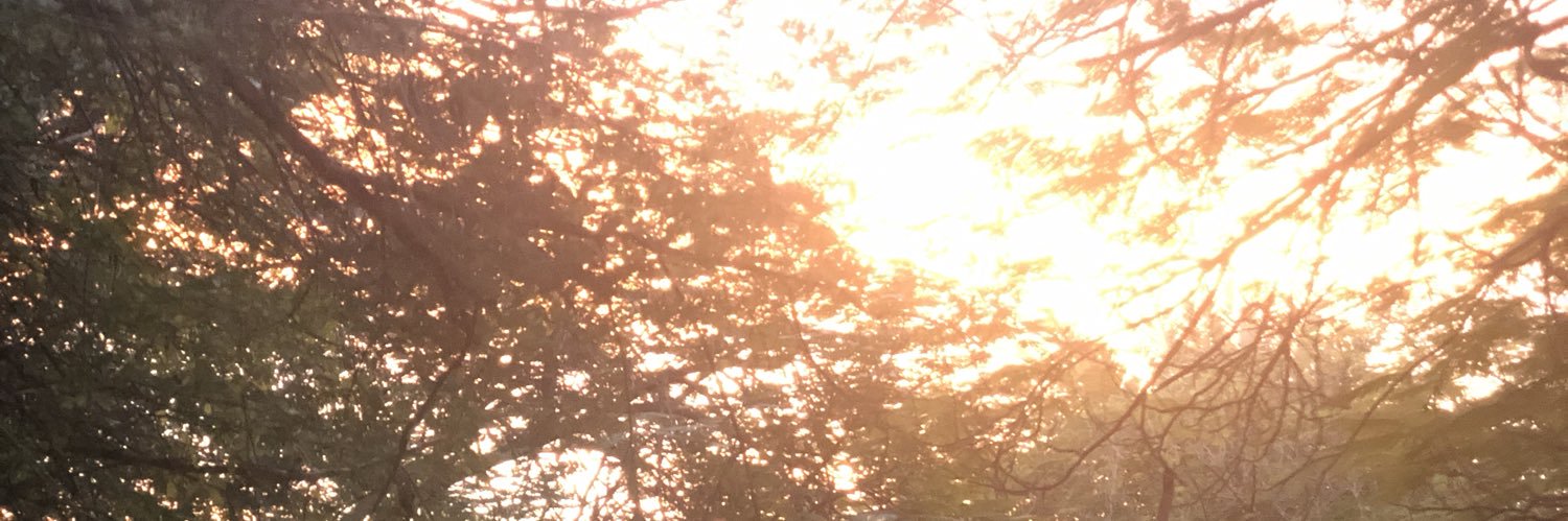 mnassar198's profile banner image