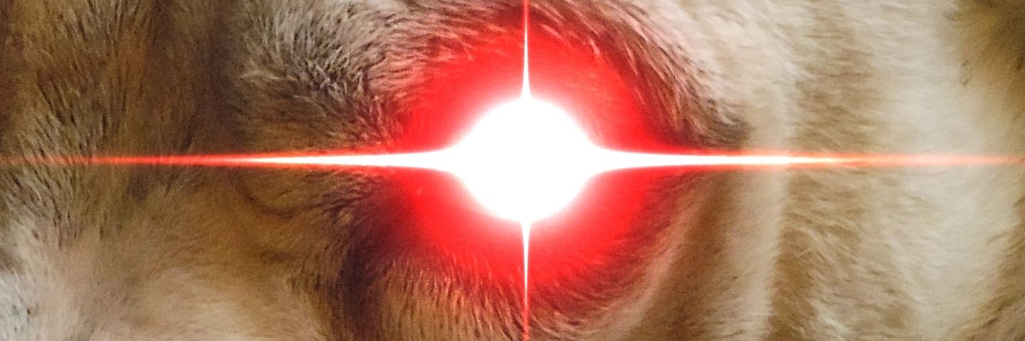 BringYoFacts's profile banner image