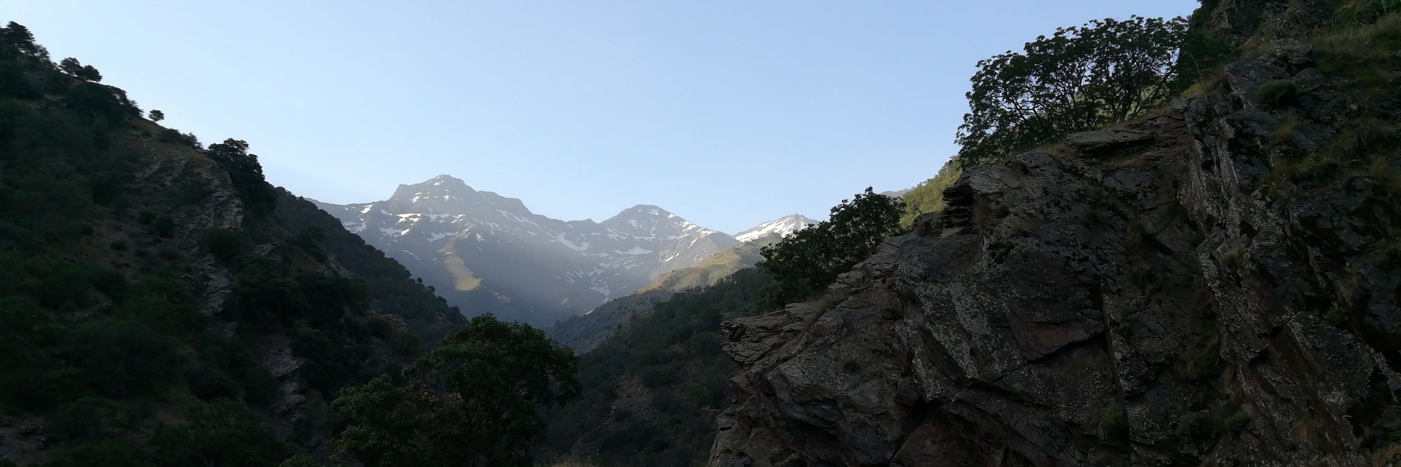 Ultrafunkula☭ banner