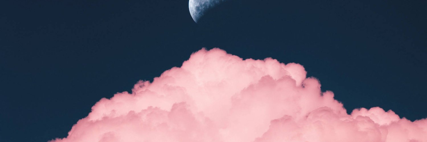 Max 🌴 banner