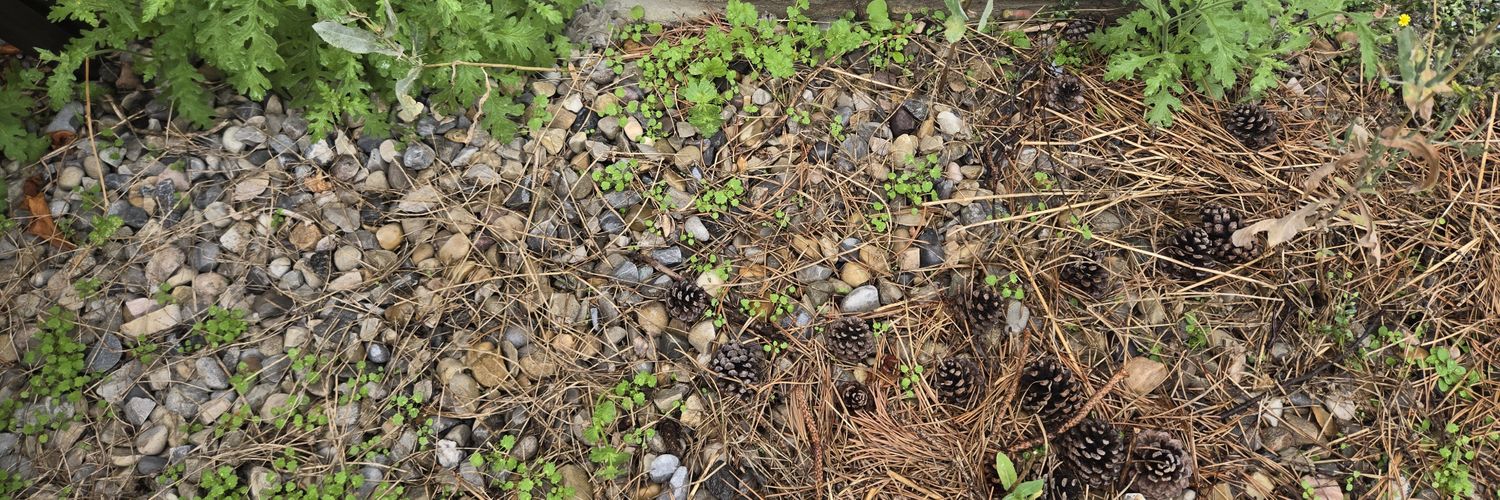 {Alberta Flag} banner