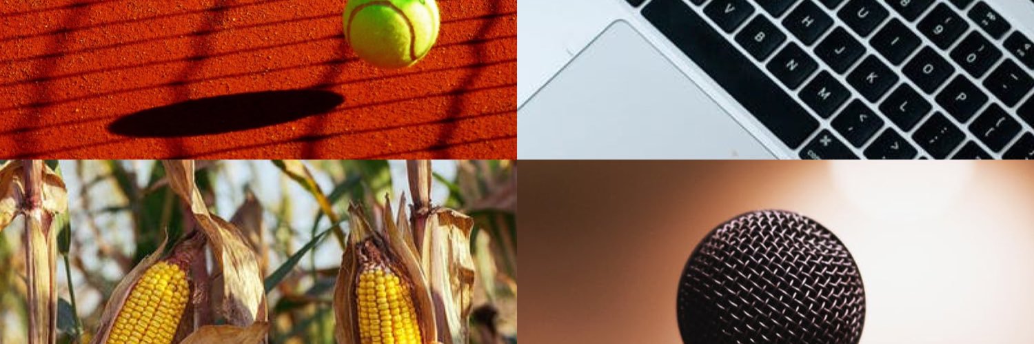 Felipe A Gonzalez L banner