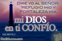 BarbaraLarios's profile banner image