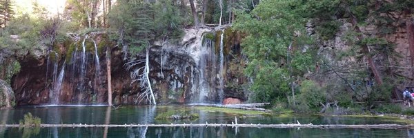 emdatadoc Profile Banner