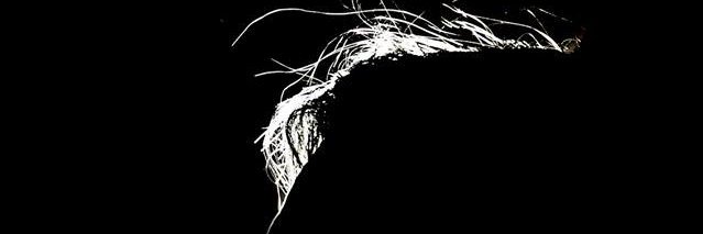 khurelbaatarU's profile banner image
