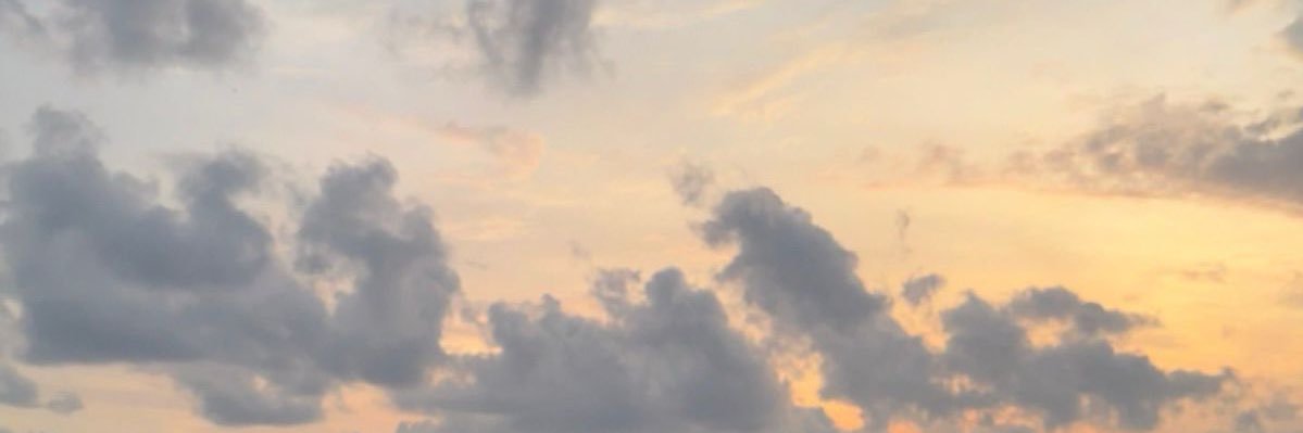 undertoneste's profile banner image
