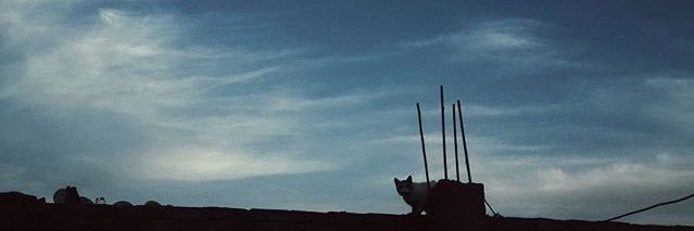 dinan1992's profile banner image