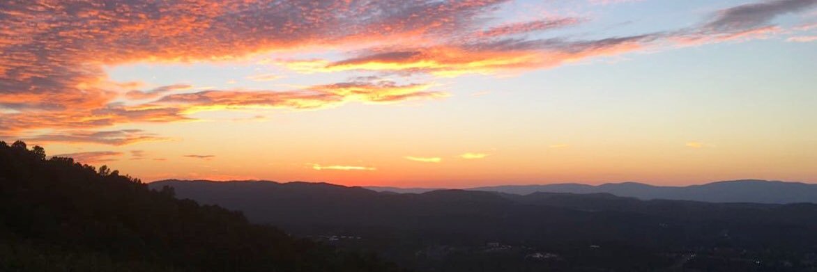 LouiseSwaby's profile banner image