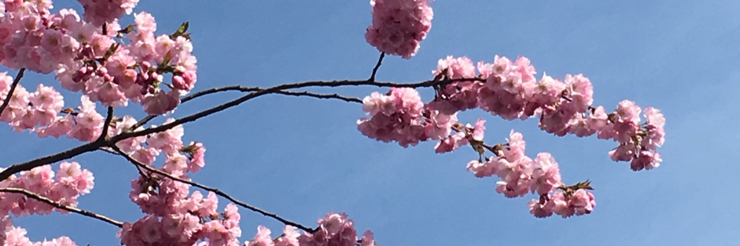 frumefni's profile banner image