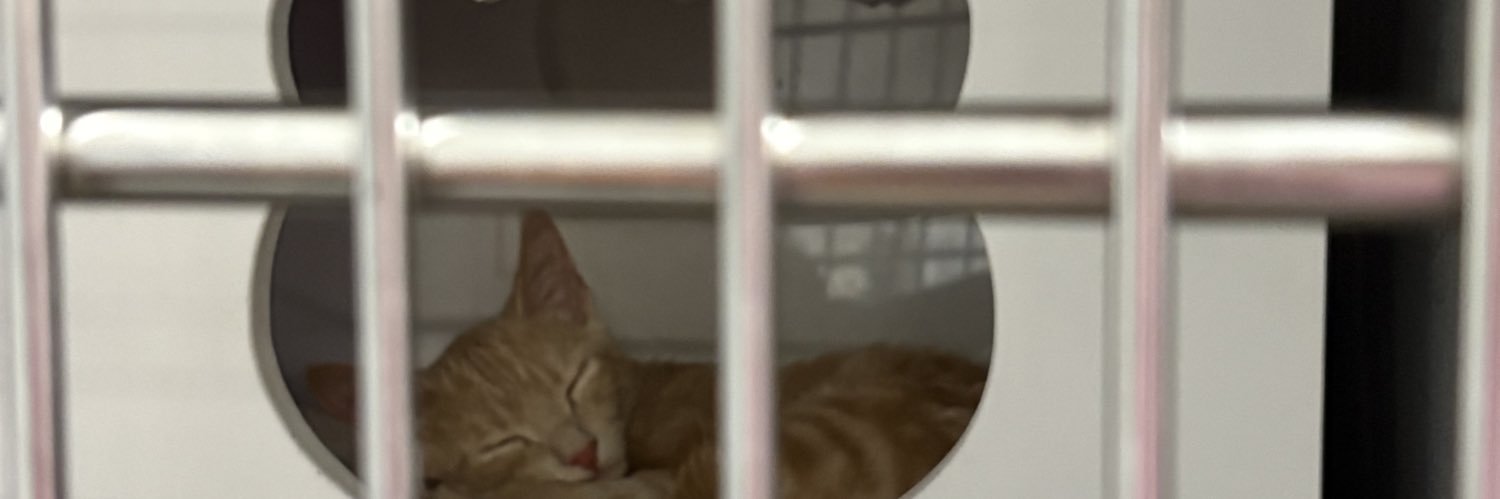 soofileoon1's profile banner image