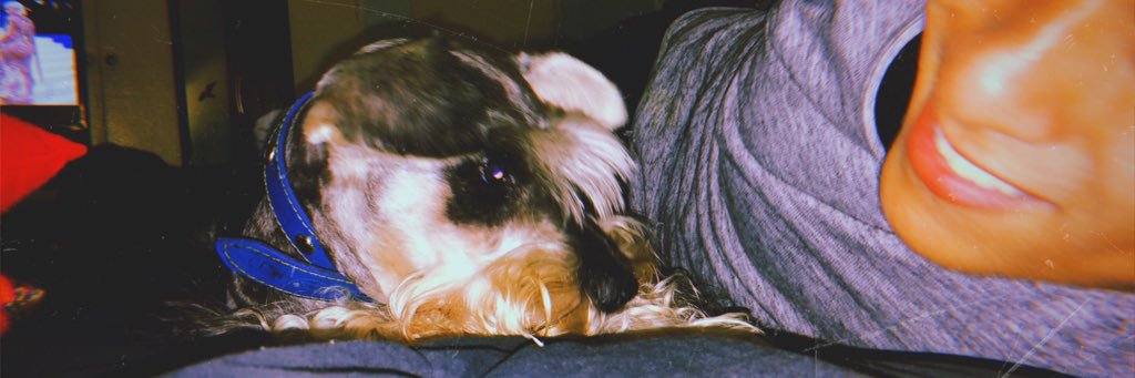 🇵🇪 Cholo Achinado 🏳️‍🌈 banner