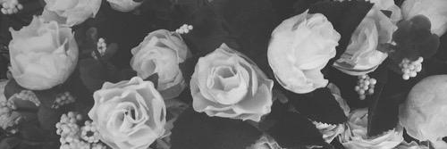 voidstylessx's profile banner image