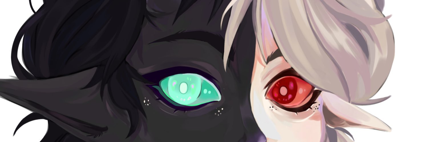 Squiiden's profile banner image