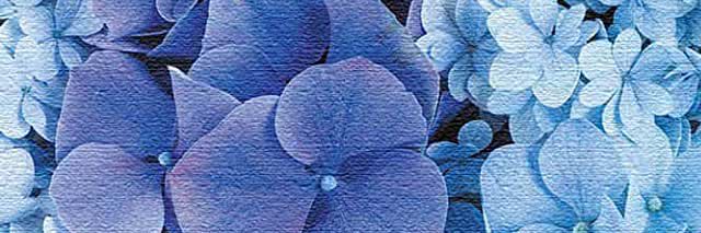 itosan_4869's profile banner image