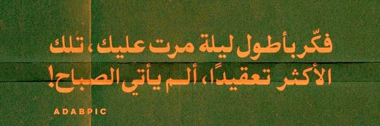 طائِر banner