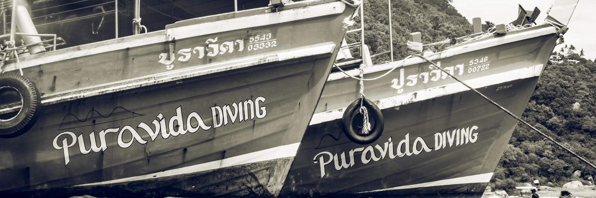 PuraPro's profile banner image