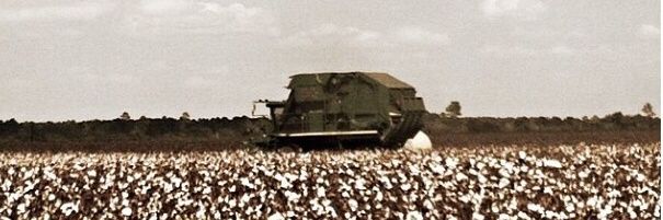 Michaela Smith, Ph.D banner