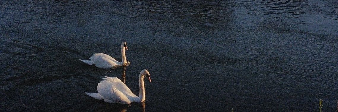 ClMi_'s profile banner image