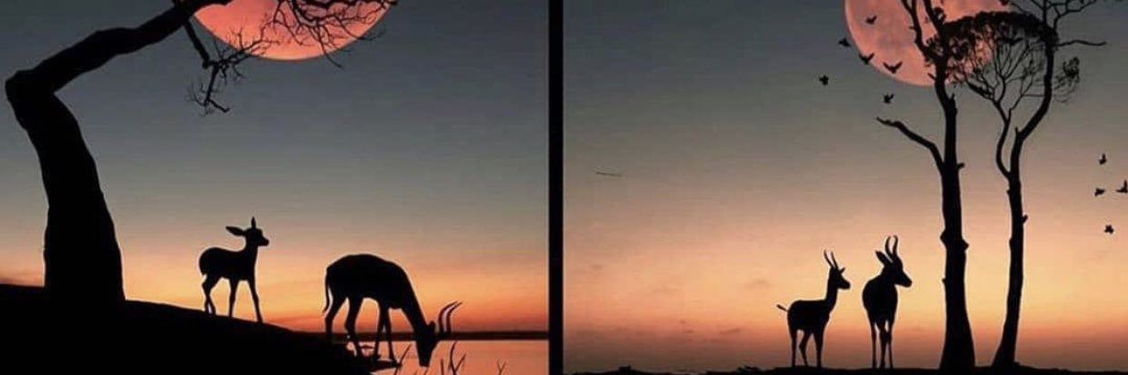 SatelliteHBU's profile banner image
