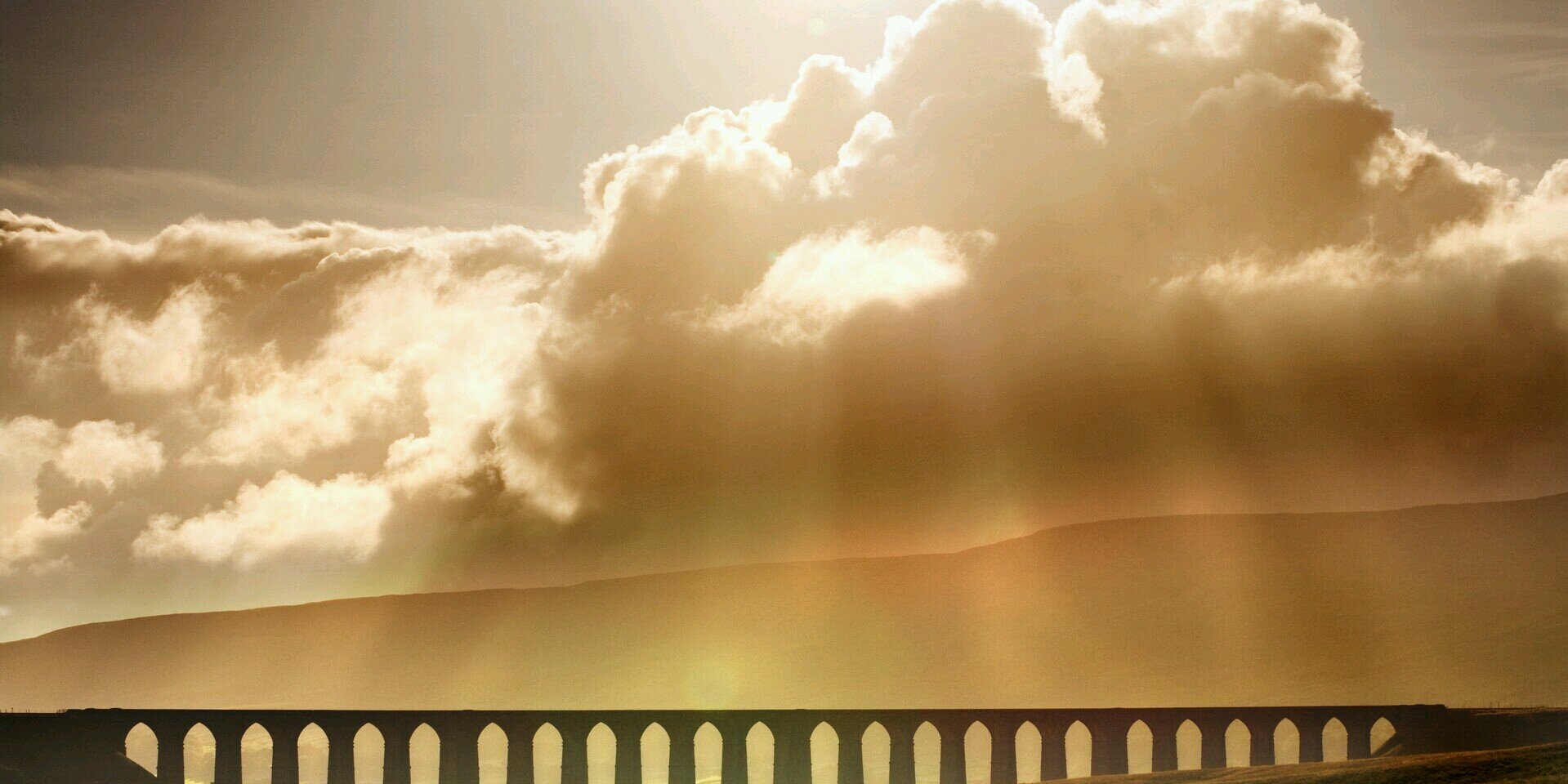 JennaDeLucia's profile banner image