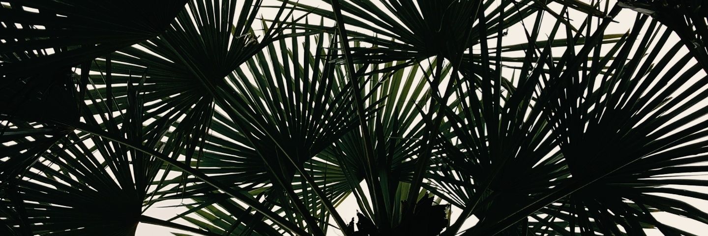 tonylxl's profile banner image
