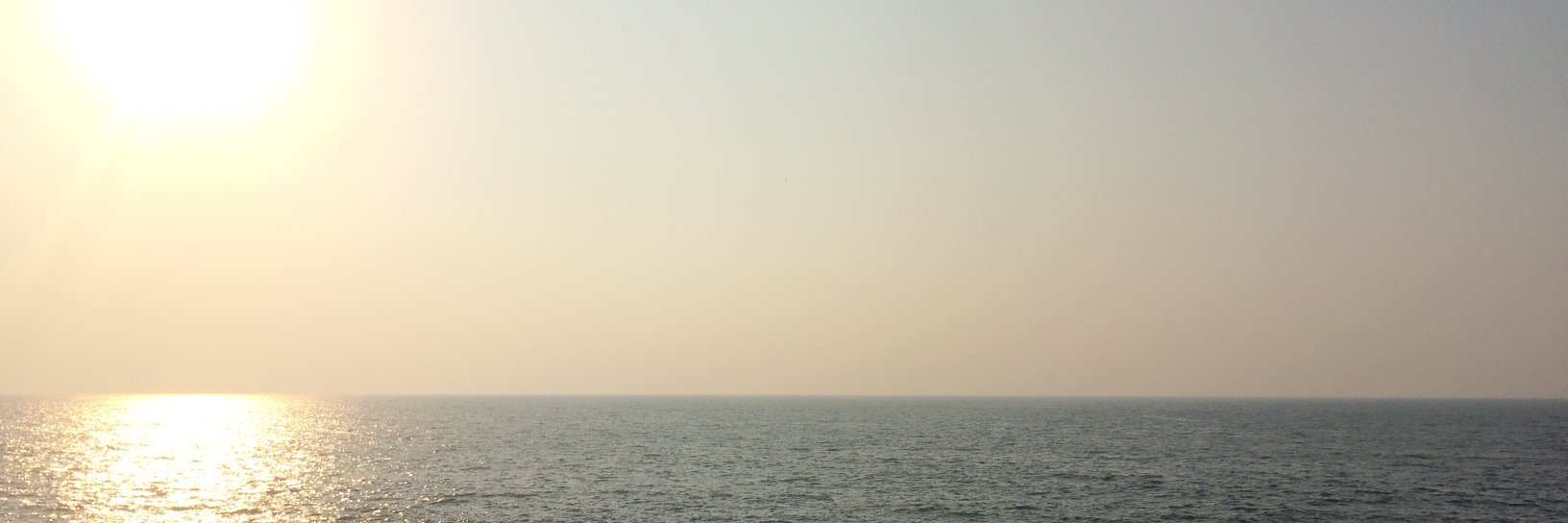 shihohashimoto's profile banner image