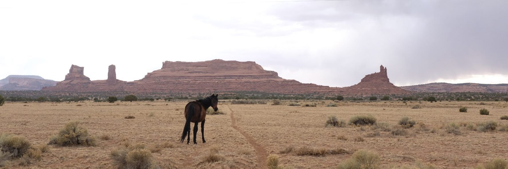 Joslynn Lee, Ph.D. banner