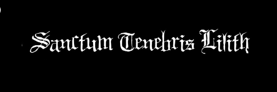 santuariolilith's profile banner image