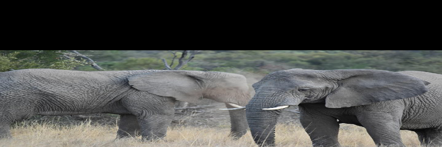 the_bb_rep's profile banner image