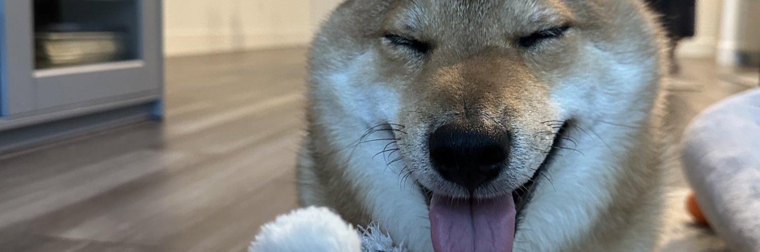 bethanybin's profile banner image