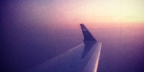 MochaBerry_'s profile banner image