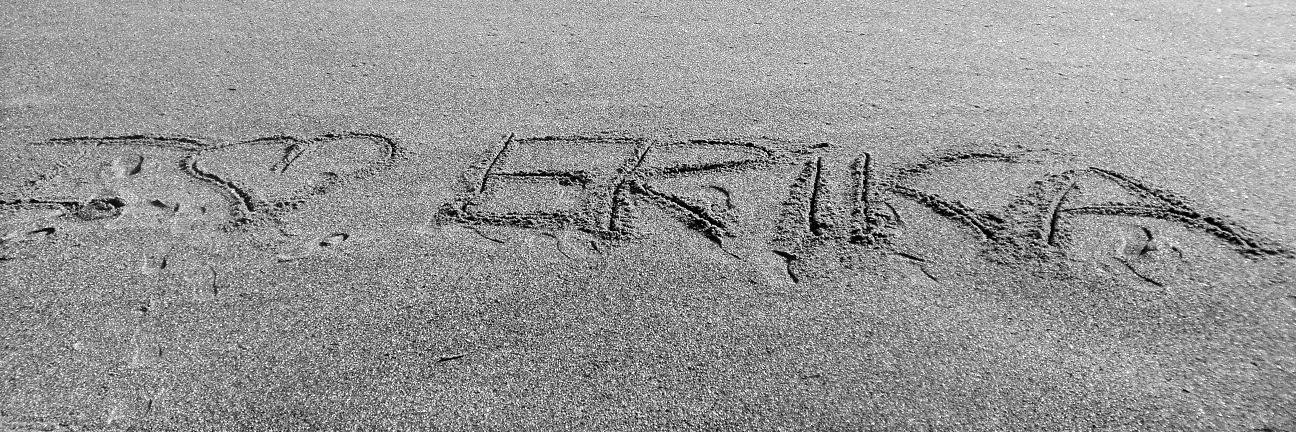 ErikaLinderFans's profile banner image