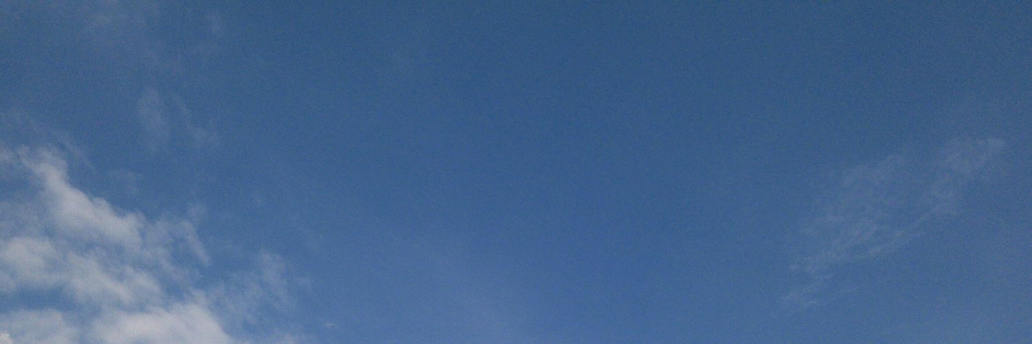 CatSelly_'s profile banner image