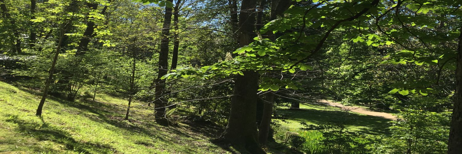 fmorillogrande's profile banner image