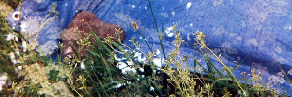 soundmarks_ Profile Banner