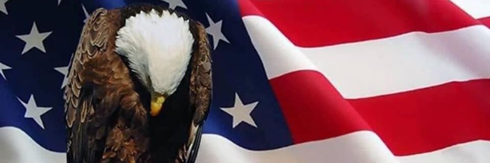 TZawila's profile banner image