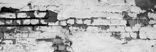 olivia_jtorres's profile banner image