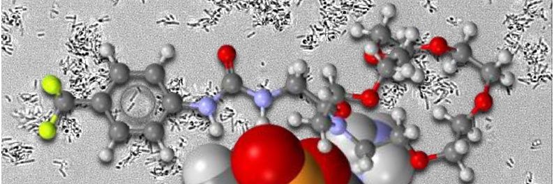 Busschaert Group banner