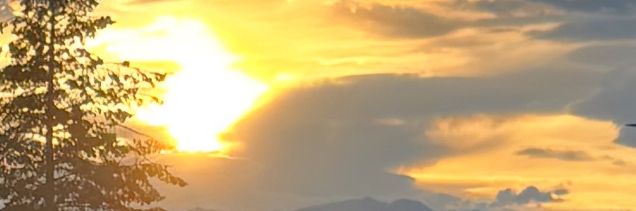 cryptoliberator's profile banner image